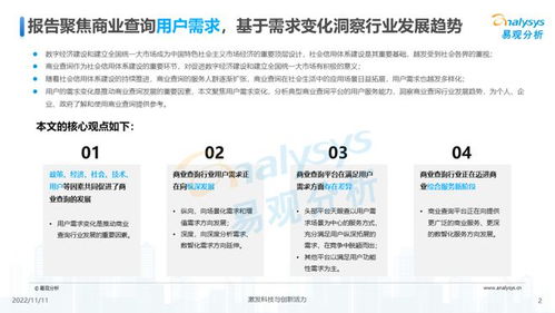 透視用戶需求深挖服務(wù)潛力 《2022中國商業(yè)查詢行業(yè)洞察》